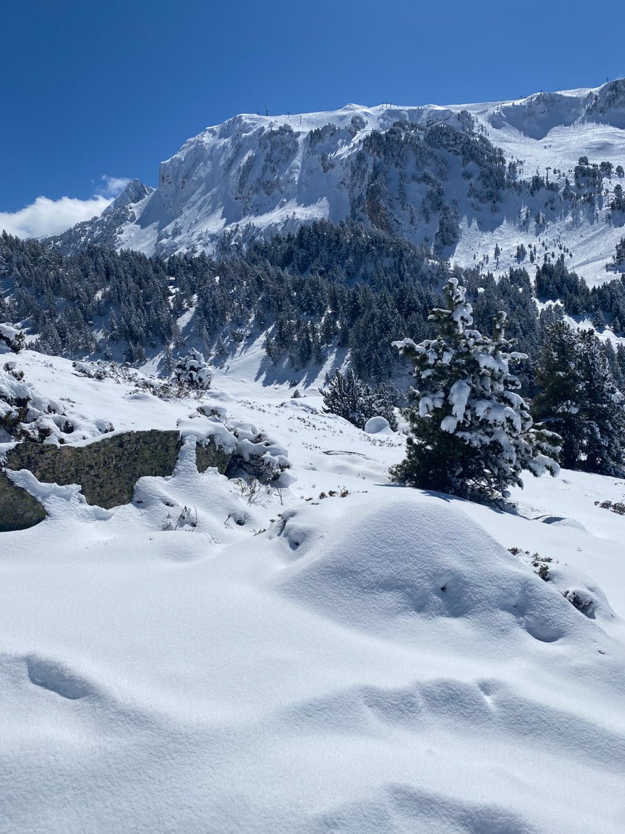 3404metros's tweet photo. @mgserranillos Aquí por Baqueira también de luxe #MWPD https://t.co/NzGk2bTbMF