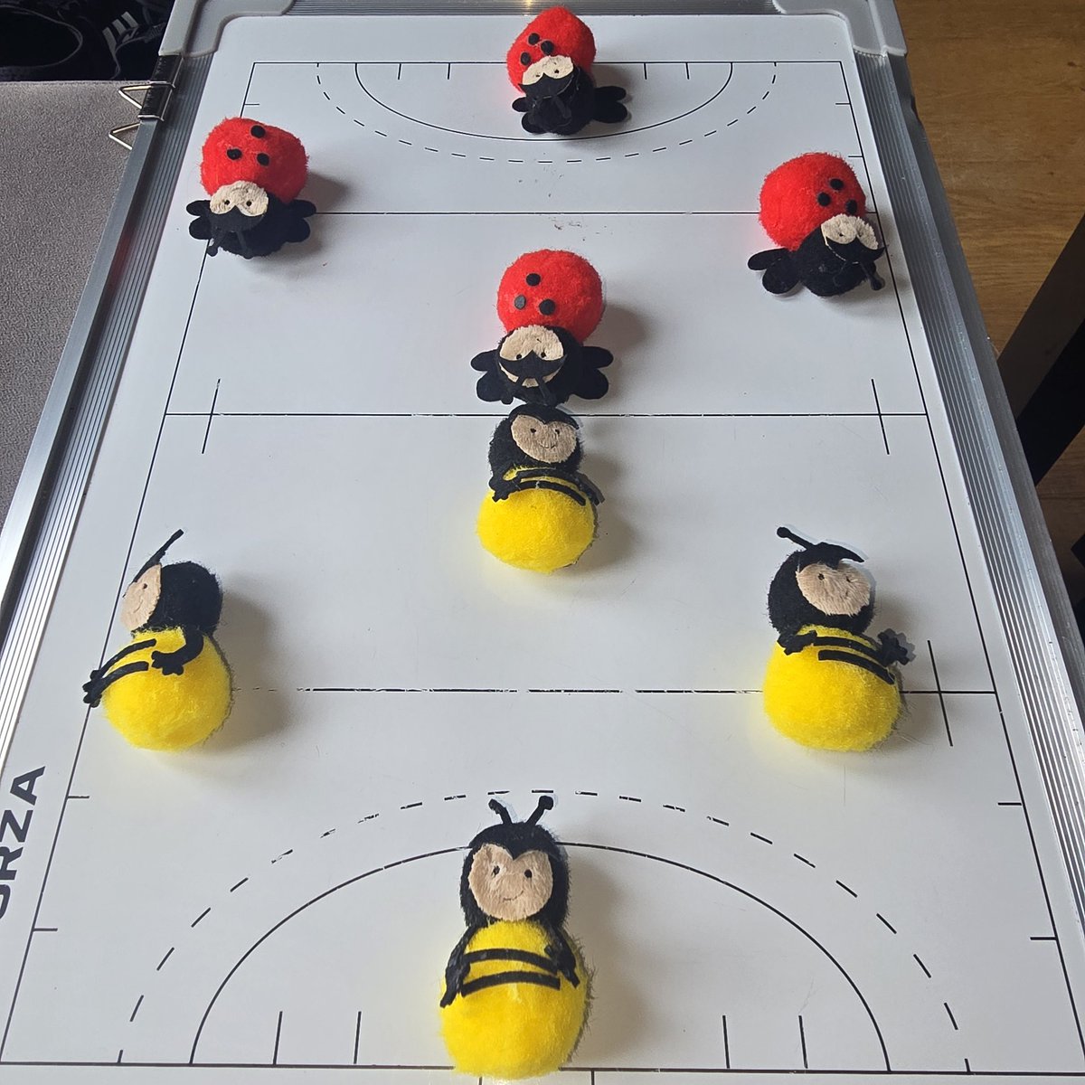 All prepared for Year 1s tomorrow, my suggestion for the formation, but I'm going to let them decide what works best for their TEAM! 🐞🐝🏑✈️