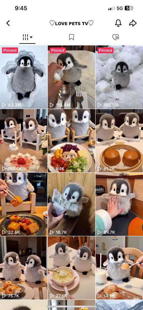 Are you ready to join the $BOGOR revolution? This coin is changing the game with its unique features and exciting opportunities! Don't get left behind! 
CA: GKz2gDkZ7zF3CFDkBrJLvqgGWASe5F6M9wwhEnULpump

Trending on TikTok………..
#BOGOR #Crypto