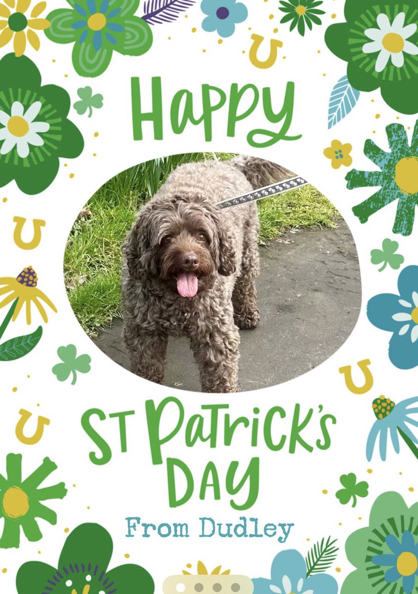 Top o’ the mornin’ pals and a great big Happy St Patrick’s day ☘️ 🐾🐾
#StPatricksDay