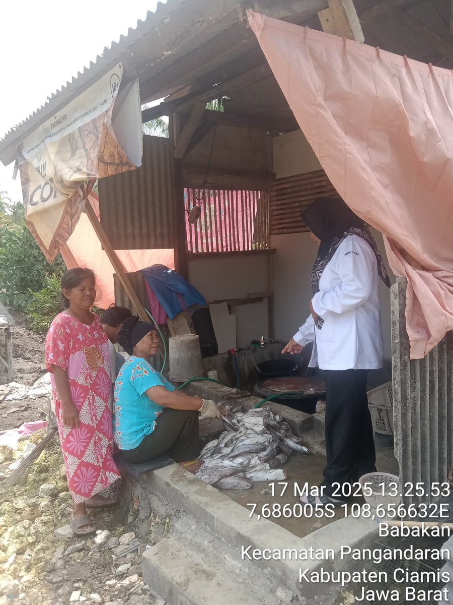 Darsitipnd's tweet photo. Senin,(17/03/25), Darsiti Luhkan Kab. Pangandaran di poklahsar kakap merah desa Babakan mdpgi pglhn ikan asin jambal roti sbyk 100kg.
#GiatLuhkanSatminkalBogor #Pangandaran #Produksi #luhlapor @bppsdm_puslatkp @brpbatpp_bogor @kkpgoid @ika_kodariah https://t.co/deS8qjW03T