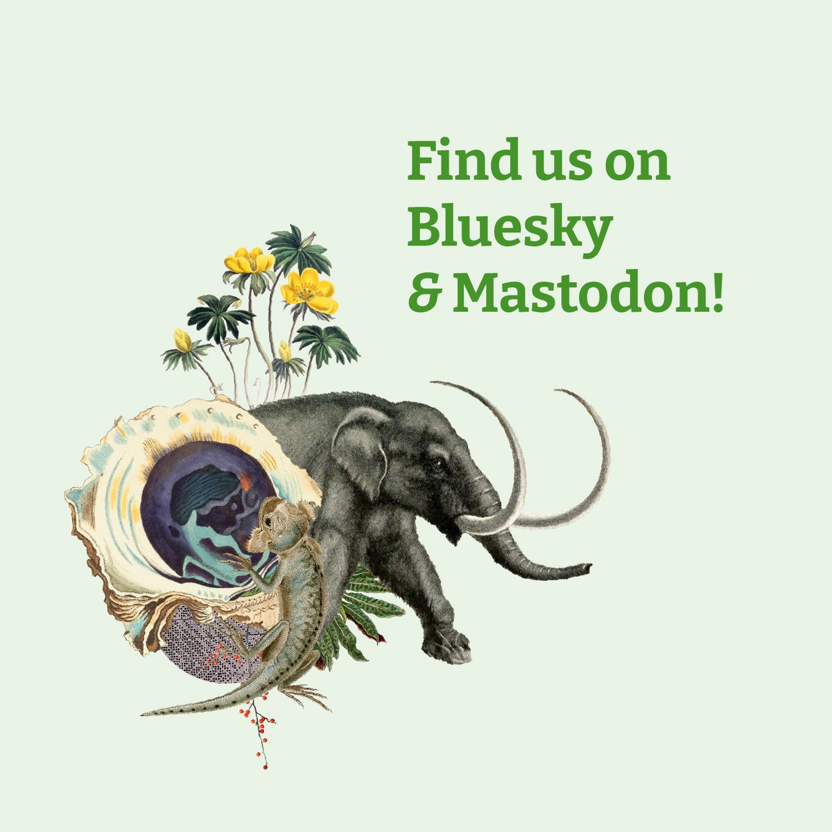 📣 Announcement 📣

GBIF will no longer be active across X as we move to align with platforms with stronger shared values in open access, transparency and data sovereignty.👩‍💻

Join GBIF on Bluesky ☁️ bsky.app/profile/gbif.o… 

and Mastodon 🐘 biodiversity.social/invite/27UEzsyq

#MakingXOurEx