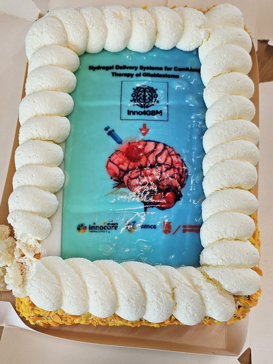 SantosLab_UMCG's tweet photo. Very pleased to announce that a collaborative project “Hydrogel Delivery  Systems for Combined Therapy of Glioblastoma” between @researchumcg  @BBT_UMCG_RUG,@univgroningenUni,and @InnocorePharma,is set to contribute to the glioblastoma research area:
https://t.co/0IPaqUInLj
🥳👏 https://t.co/sF8VpBhxPN