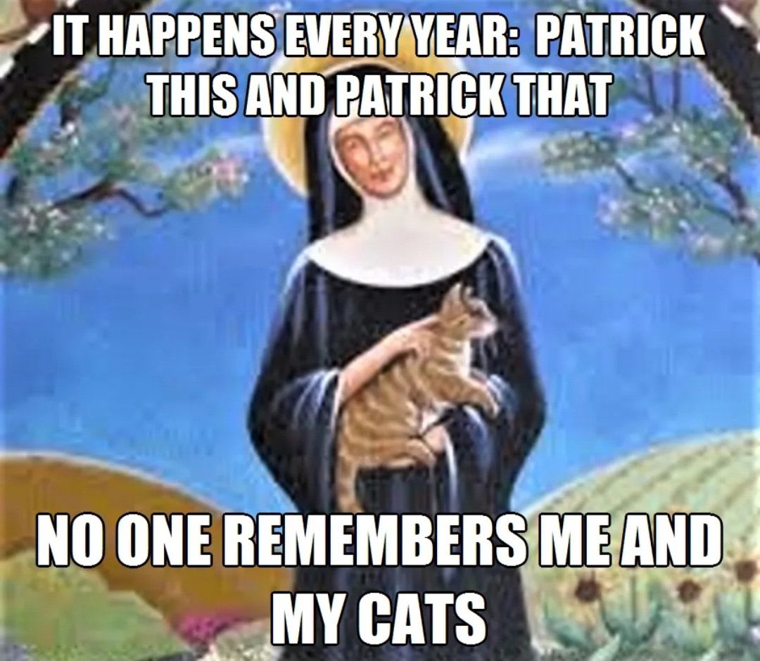 More importantly...It is Saint Gertrude of Nivelles Day. The Patron saint of Cats. The best saint ever 🐈‍⬛🐈‍⬛🐈‍⬛🐈‍⬛