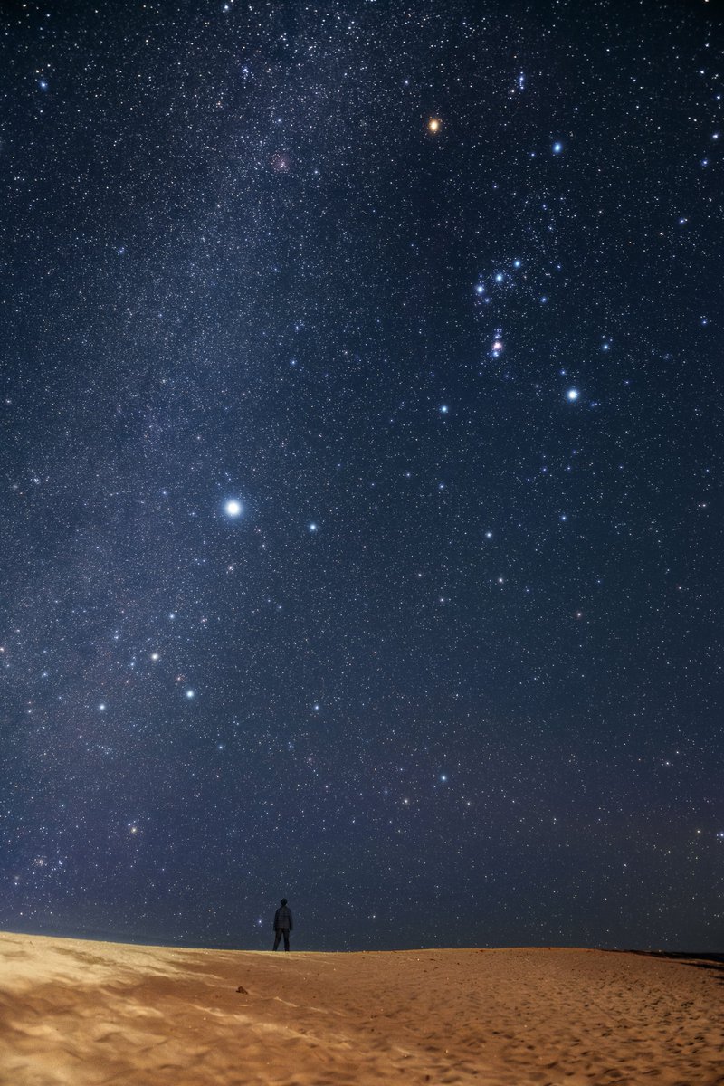 瞬く星空の下で異世界みたいな写真が撮れた！