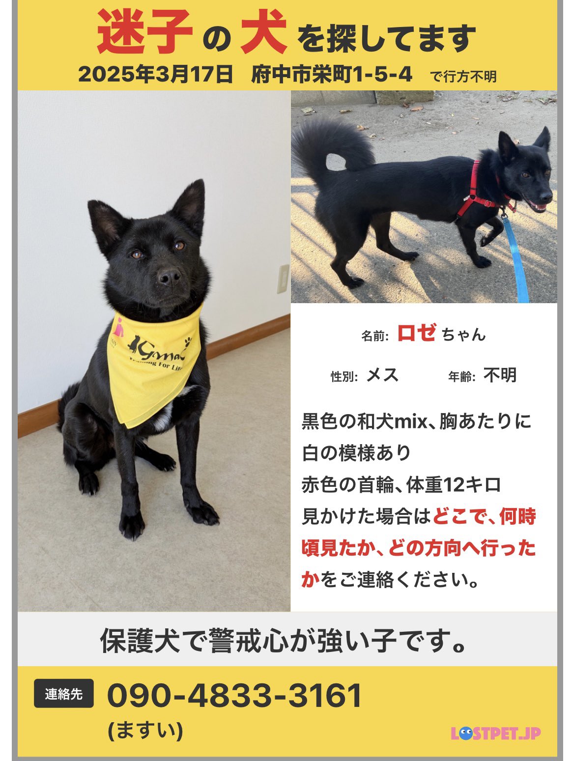 タヌキチ出品 Hitachi Bushing Parts for ZX400R-3 - Reliable Performance