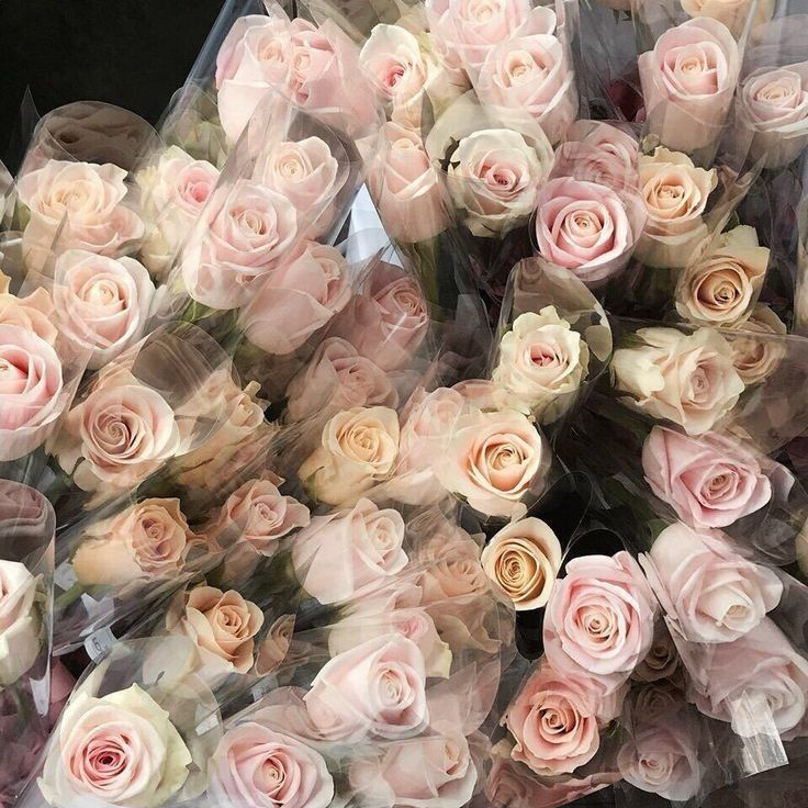 ETHEREALPRADA's tweet image. 