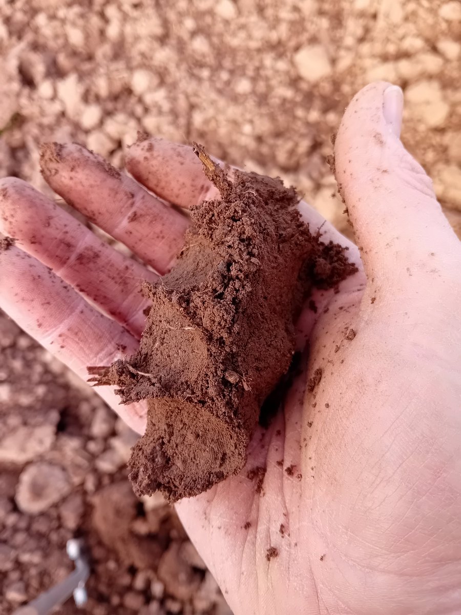 When your not going you need all the tools to convince yourself your right.