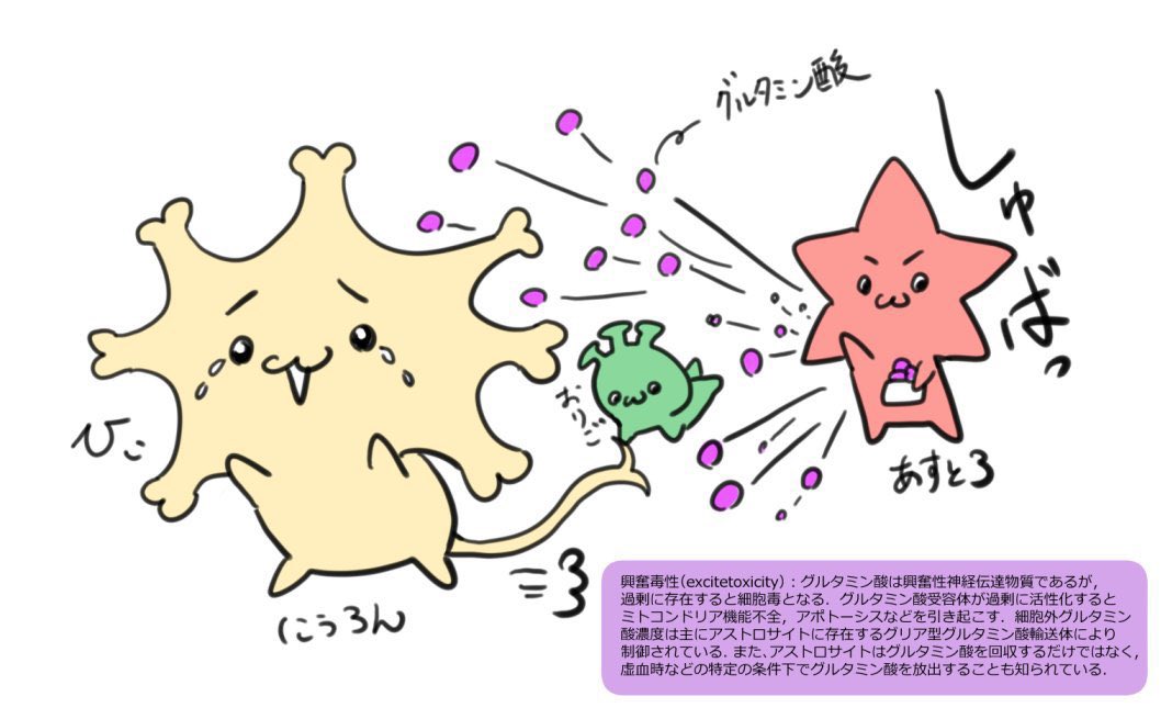 こちらは、脳細胞をモチーフにしたマスコットキャラクター「にうろん」です(' . .̫ . `) 