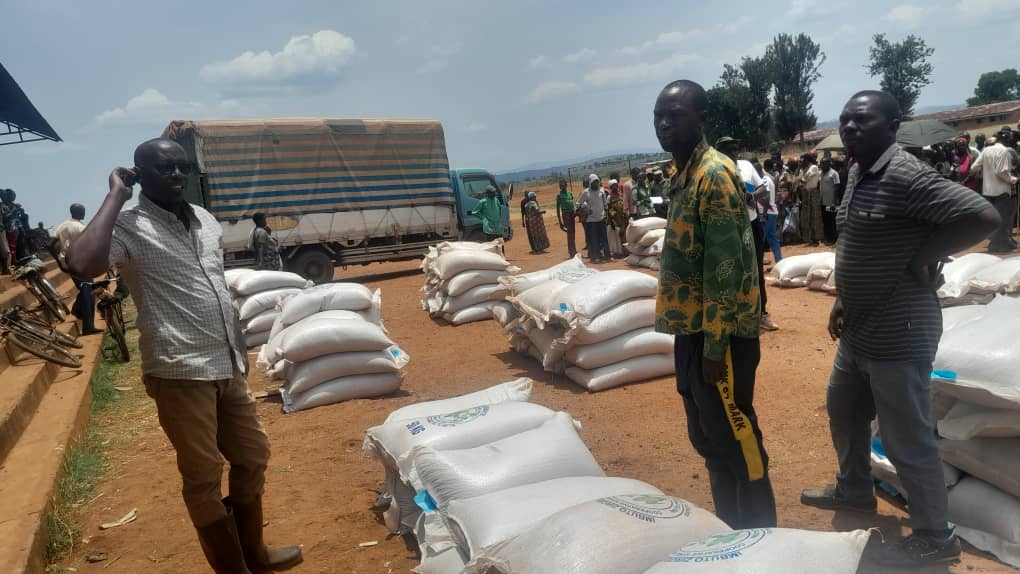 IntumwaNews's tweet photo. Solidarité face aux Aléas Climatiques : Distribution de Semences par l'ONG #WWGVC 🌱 à @CankuzoProvince.
Dans le cadre des mesures prises suite à la réunion avec le gouverneur, visant à venir en aide aux victimes des aléas climatiques, l'ONG #WWGVC a organisé une distribution de semences. Du 10 au 11 mars 2025, des semences de haricots 🌿 et de plantes maraîchères 🌽 ont été distribuées dans les communes de #Bugabira et #Busoni.
Cette initiative a pour objectif de soutenir les agriculteurs locaux et de relancer l’agriculture dans ces zones touchées par des conditions climatiques difficiles. Grâce à cette aide, les communautés pourront retrouver des moyens de subsistance et renforcer leur sécurité alimentaire.
L'ONG poursuit ainsi son engagement en offrant des solutions durables face aux défis imposés par les catastrophes naturelles. 🌍👩🌾