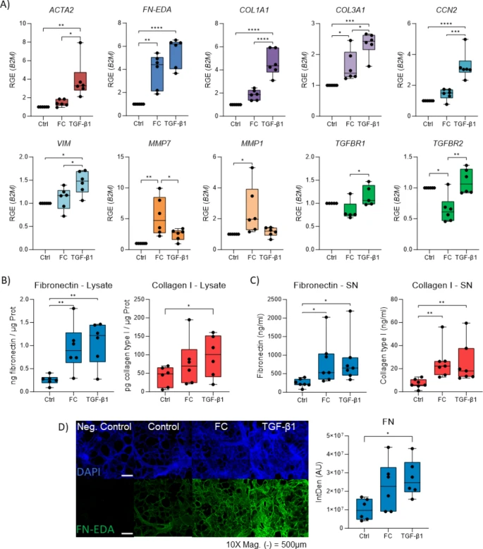 RespiratoryBMC's tweet image. 📕Article Alert📕

Fibrosis in PCLS: comparing TGF-β and fibrotic cocktail 🫁
#OpenAccess #PCLS #RespiratoryResearch

Read the article: doi.org/10.1186/s12931…