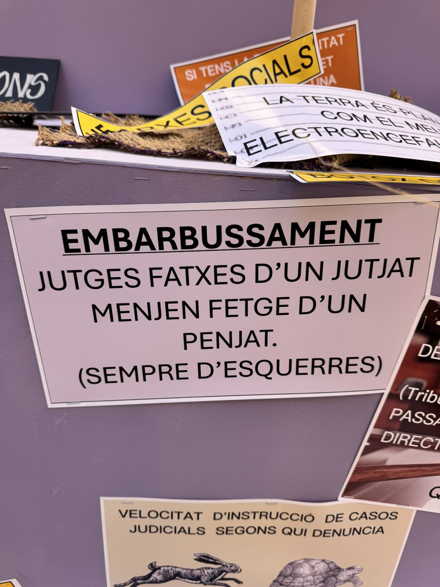 cabrafotuda tweet media