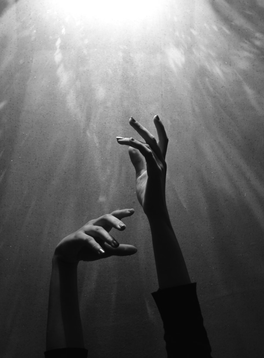 plalanda_II's tweet photo. Hace mucho aprendí
que la sombra sin sol 
no existe
y en los momentos aciagos
elevé mis plegarias
implorando la luz...
¡Siempre entró a raudales!
Así empecé este día,
dejando mi puerta 
abierta a la esperanza

Con el deseo firme de que Vds. y el mundo la vean entrar esta semana. https://t.co/BZpG8PbUIP