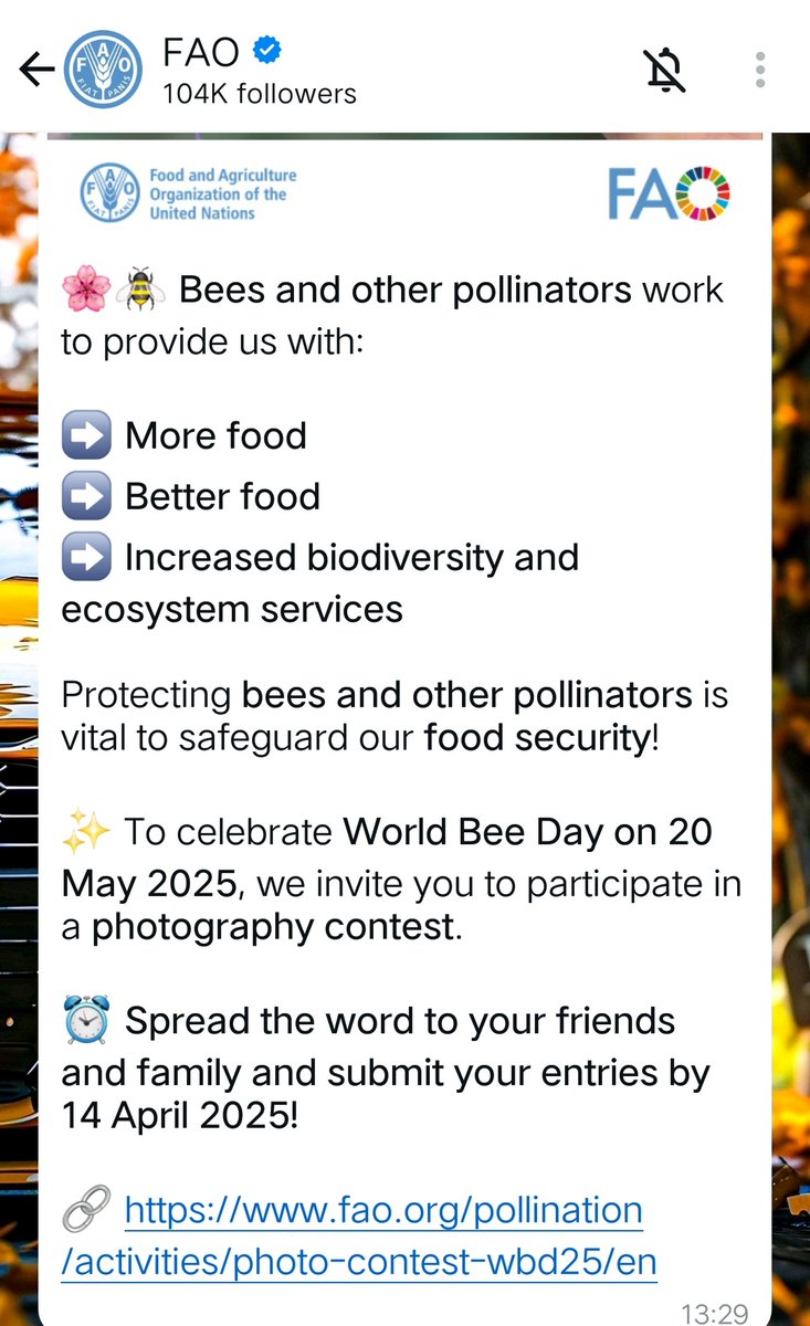 Hillary Matovu 🐟️🐬️ tweet media