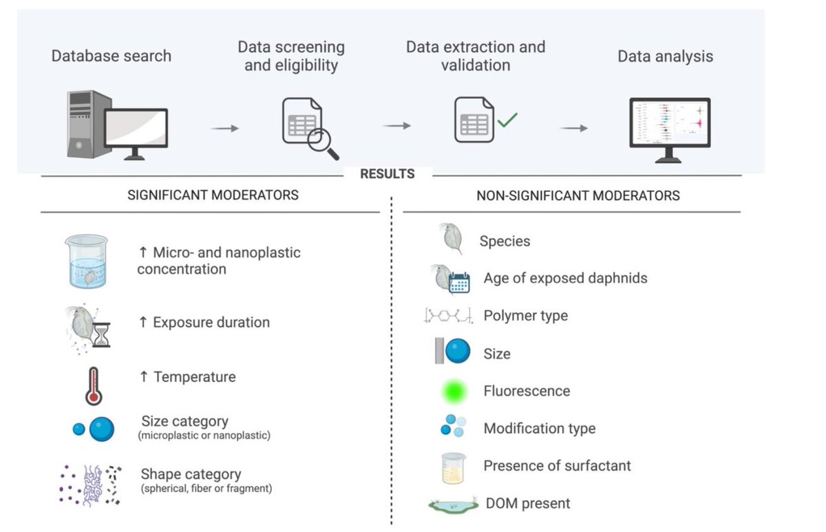 Micro- and nanoplastic effects on the reproduction of Daphnia spp. - a meta-analysis,
doi.org/10.32942/X26D2C