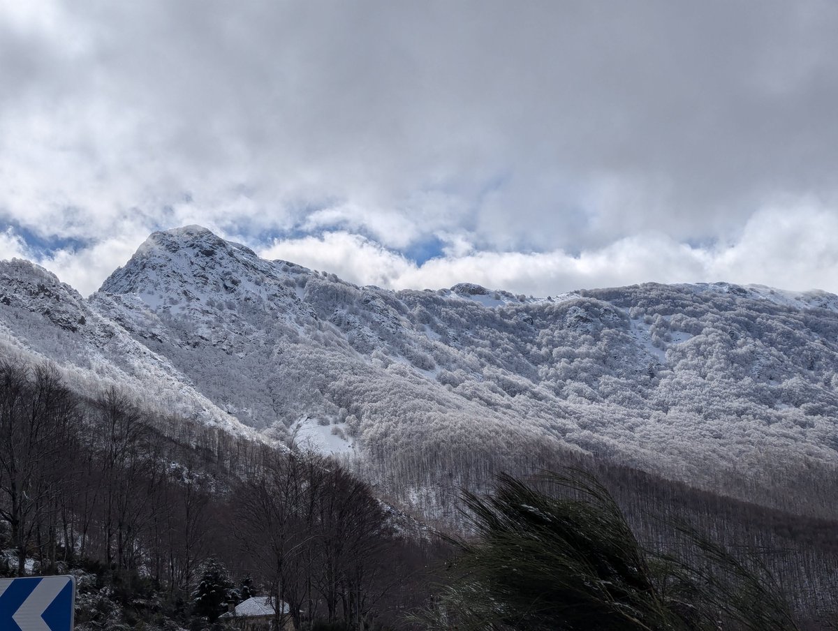 Entre ahir diumenge i aquesta matinada s,han acumulat 2 cm més de #neu nova a la cota 1.300 m del massís del #Montseny. #arbucies