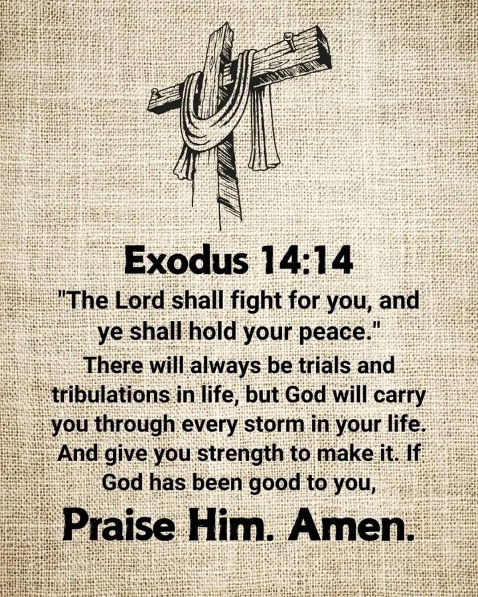 GAD681's tweet photo. #prosper #trusting #blessing #scripture #praise #christaintiktok #anointing #honour #declaration #merciful #mercy #saviour #surrender #unto #kjv #salvation #worthy #almighty #testimony #faithfulness #christ #favour #goodness #glory #abundantly #prevail #ijn #shall #faithful #god https://t.co/6IQnbqZurF