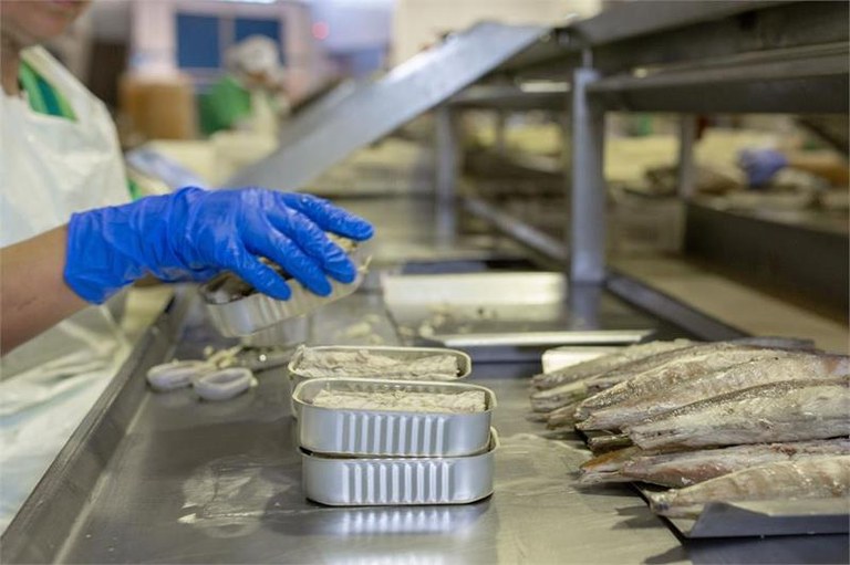 ✖️ El expediente para despedir a toda la plantilla concluye sin acuerdo en la empresa del sector conservero Conservas Zizzo de Mutriku.

‼️ El 20 de marzo despedirán a la plantilla y como no pagarán su indemnización, tendrán que recurrir al FOGASA.

🔗 labur.eus/xijkzkdk