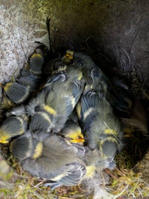 Uniwersytet Warszawski tweet media