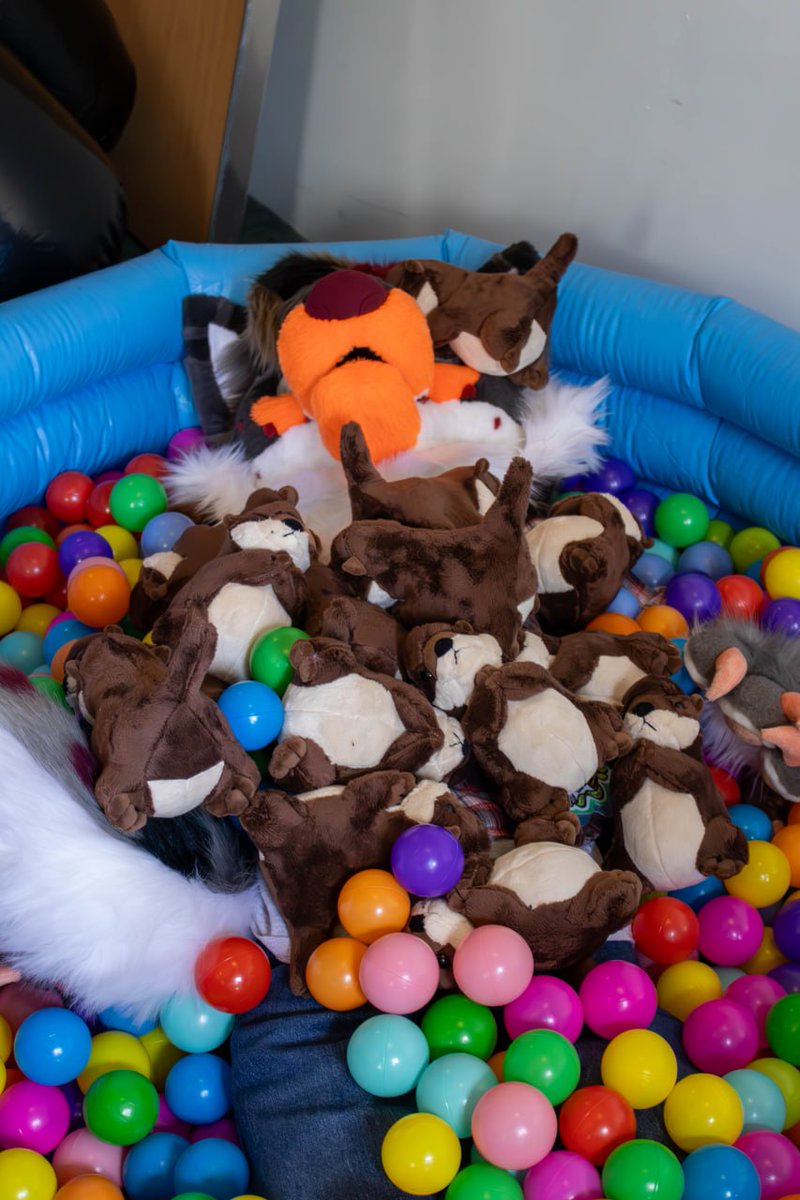 ExeterFurs's tweet photo. https://t.co/QQPuVhHz68