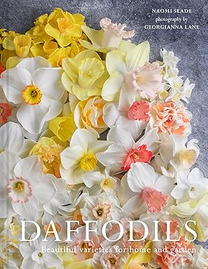Calling all daffodil lovers - you NEED this book! Thanks to <a href="/NaomiSlade/">Naomi Slade</a> and <a href="/PavilionBooks/">Pavilion Books</a> for this gorgeous read plus sumptuous photography by Georgianna Lane 😊📙👏 vegplotting.blogspot.com/2025/03/book-r…