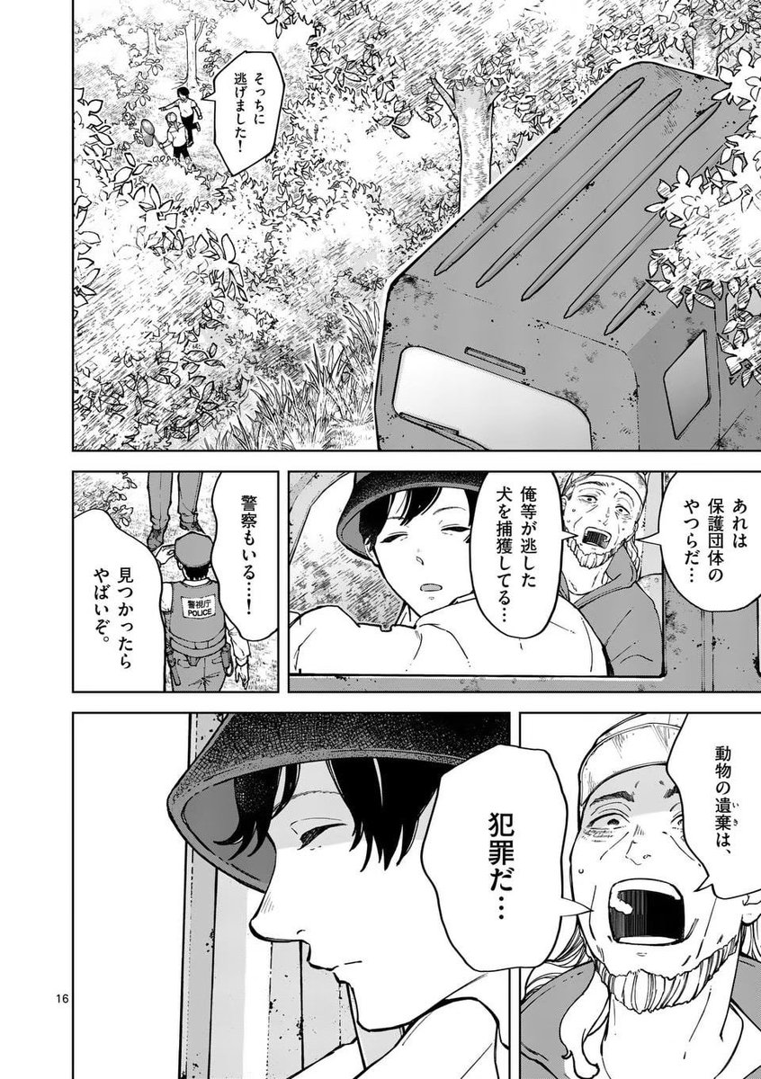 高齢のトイプードルが、山に捨てられていた。(4/10) 