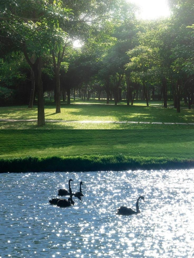 elemmiressoul's tweet image. serenity.𖥔 ݁ ˖๋ ࣭ ⭑ྀ࿐