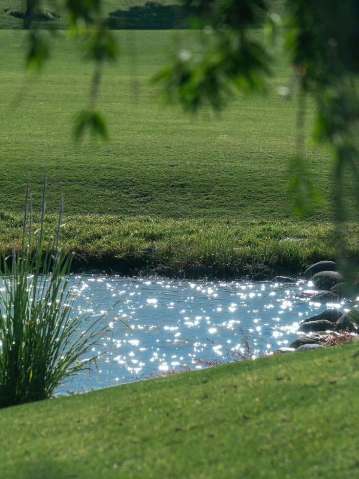 elemmiressoul's tweet image. serenity.𖥔 ݁ ˖๋ ࣭ ⭑ྀ࿐