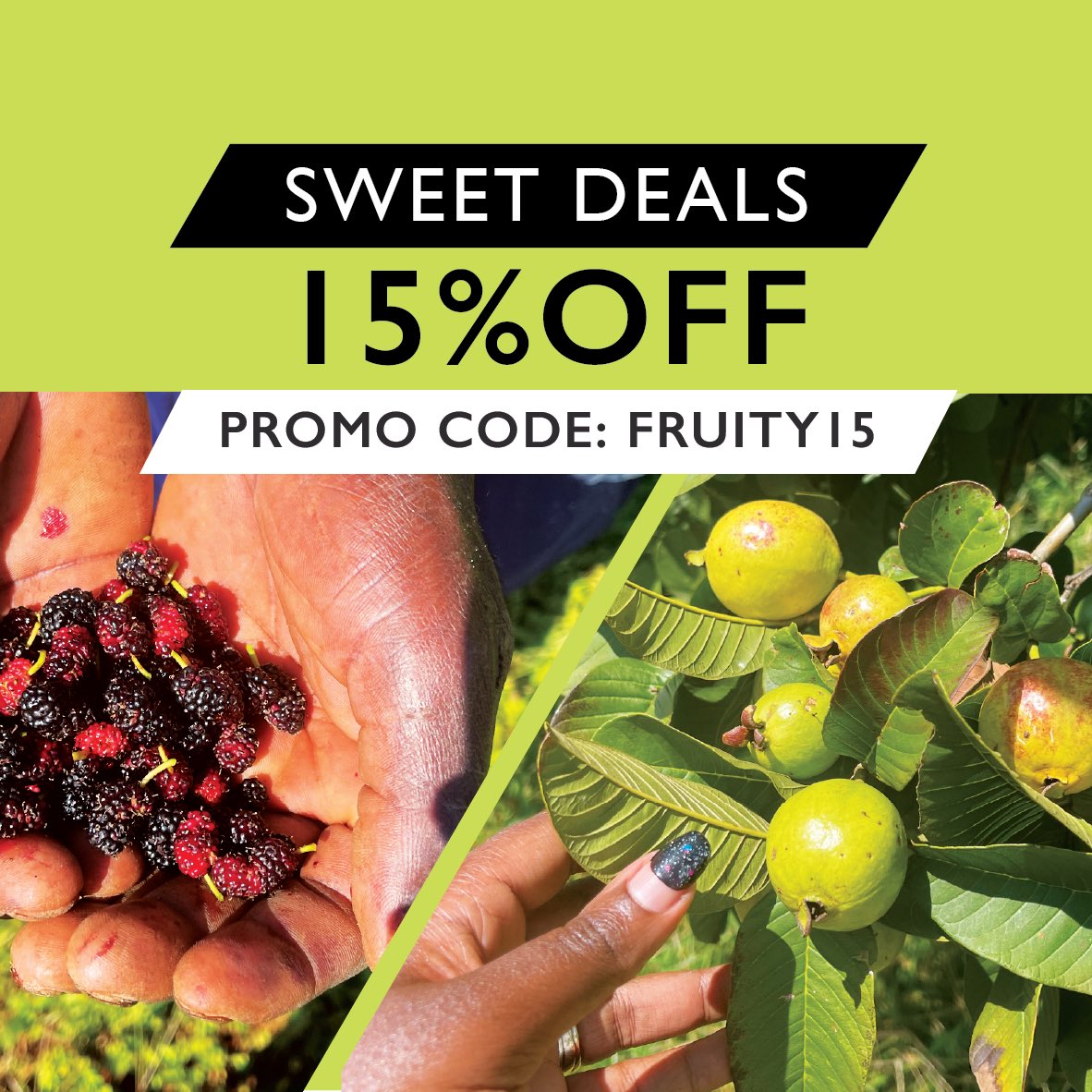 Sweet deals await! 🍎 

All March &amp; April, enjoy 15% off on absolutely all #fruit #tree #seedlings 

Don't miss this sweet deal! Only at shopnanjala.com
