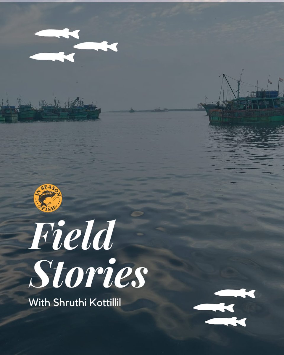 InSeason Fish tweet media