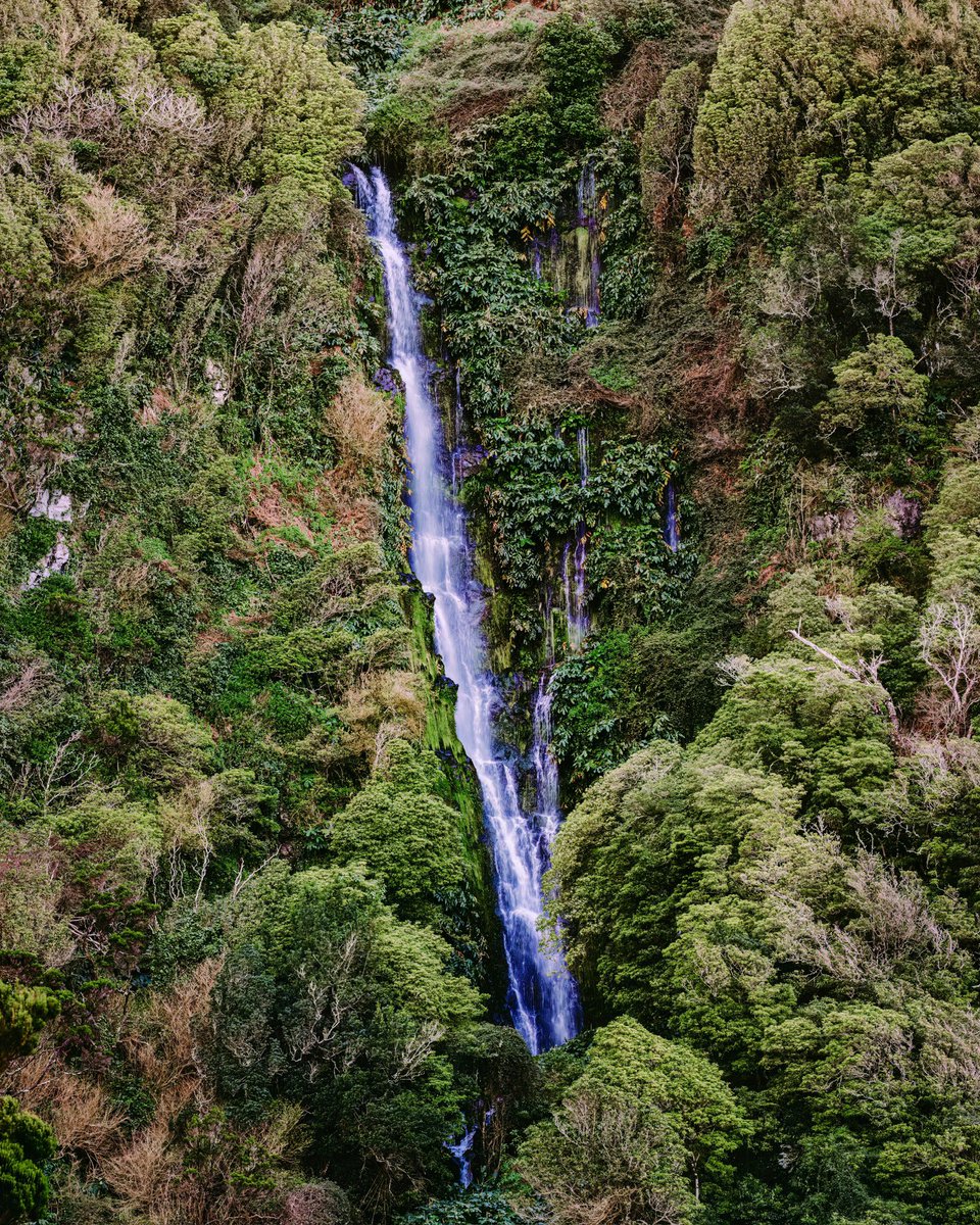 msubirats's tweet photo. São Jorge, la isla que desafía el tiempo

https://t.co/QbklgiA9ux #Azores #casasaçorianas https://t.co/ghKQbP4WlM