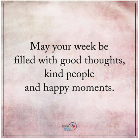 Happy Monday everyone 😀 Hope you all had a good weekend 😀

Third month of 2025 well underway and year already flying by. Spring 🐑officially begins later this week 😀 Saw lots more snowdrops and lots of daffodils 🌼 💐 emerging last week 😀   
#springalmosthere