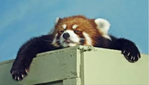 Busy week for us here at Roundabout Towers, as we head towards our print deadline on Friday 😀
 
Have a good week 😀
 
#springalmosthere