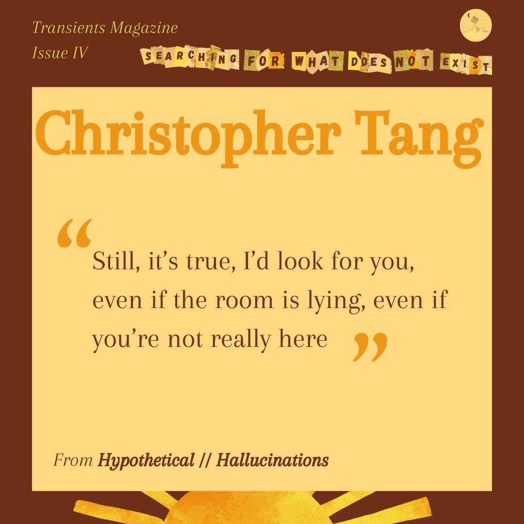 TransientsMag - subs 🌏CLOSED🌎 tweet media