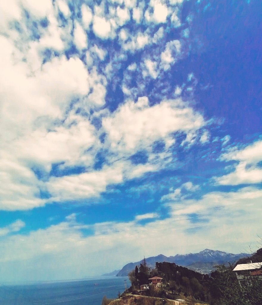 hopalimurat's tweet photo. Lazonas ar Ndğa... ✌️
#Peronit
#Xopa https://t.co/ve4x8CP7j9
