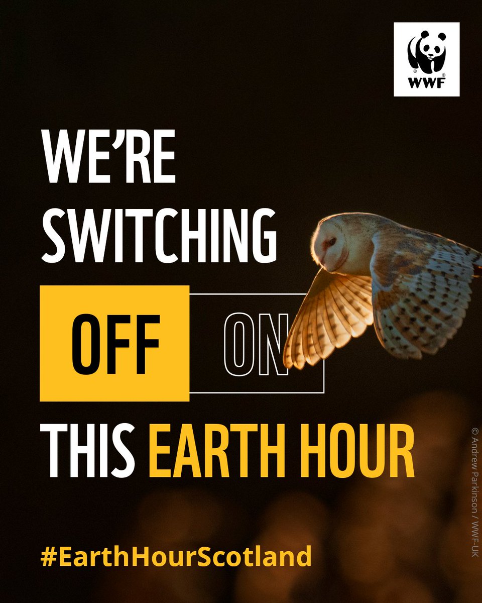 🌍Earth Hour is tonight at 8.30pm! Switch off your world for an hour to show your support for the climate and nature emergency!

Let us know how you mark Earth Hour by tagging us at #EarthHourAngus 
<a href="/AngusCouncil/">Angus Council</a>