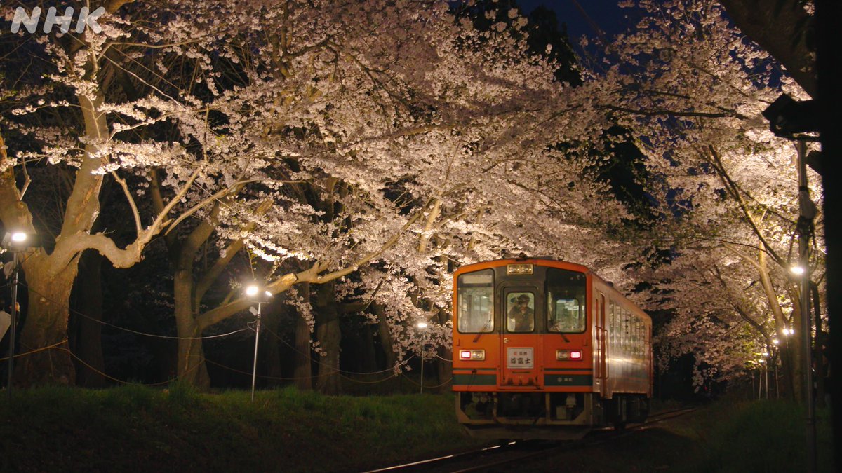 tsugaruhantoat's tweet photo. おゆきです。
発表します✨
NHK総合「運転席からの風景　絶景の桜」（全国）
3月21日(金)　22:00~22：58
詳細⇒https://t.co/MVIxK00DIL

＃津軽鉄道  #芦野公園 ＃桜のトンネル が出ます♪
おゆきも⁈
もしよかったらご覧ください！

#青森県 ＃五所川原市 ＃中泊町 ＃津軽半島観光アテンダント https://t.co/h8WoEtBZQy