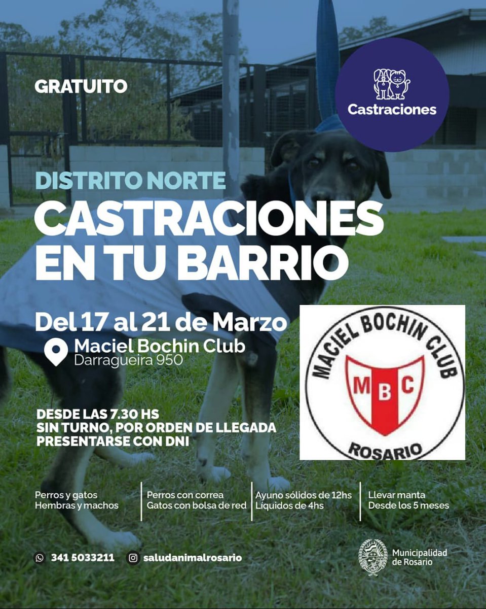 ATENCION B° del NORTE. Ya arrancaron la campaña en el Club. Por favor Difundir. Gracias <a href="/CalleDeRosario/">CalleDRosario</a> <a href="/emergenciasAR/">red de emergencias</a> <a href="/VecinalesS/">VECINALES ROSARINAS UNIDAS</a> <a href="/VecinalMaradona/">VECINAL DR. MARADONA (Oficial)</a> <a href="/mahisaquint/">Marisa</a> <a href="/ccatraro/">Cristian Catraro</a> <a href="/Cerebrus2018/">Cristian 🇦🇷</a> <a href="/mercearbu/">MERCEARBU</a> <a href="/RaquelArroyo1/">Raquel Arroyo</a> <a href="/anabongelli/">ana 💙💙</a> <a href="/BrizuLalo/">Eduardo Brizuela</a> <a href="/ClimaRosarioAr/">Clima Rosario Ar 🇦🇷</a> <a href="/Claudia_cmm_/">Cláudia CMM 11</a> Muchas Gracias