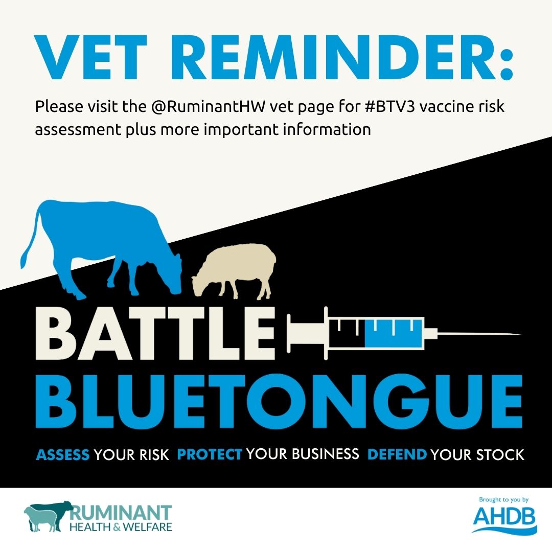 Sheep Veterinary Soc (@sheepvetsoc) on Twitter photo Vet reminder – please keep records of vaccine doses ordered, supplied, and prescribed, and inform <a href="/DefraGovUK/">Defra UK</a>  of all vaccines prescribed within 7 days. 
More info bit.ly/41mTpVc
#BattleBluetongue <a href="/ruminanthw/">Ruminant Health & Welfare</a> Vet reminder – please keep records of vaccine doses ordered, supplied, and prescribed, and inform <a href="/DefraGovUK/">Defra UK</a>  of all vaccines prescribed within 7 days. 
More info bit.ly/41mTpVc
#BattleBluetongue <a href="/ruminanthw/">Ruminant Health & Welfare</a>