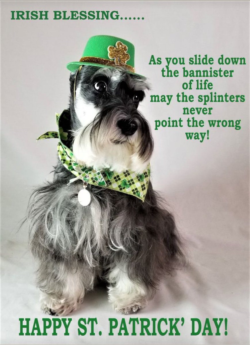 Good Monday morning, friends! Happy Saints Patrick’s Day! Hope everyone has a great day! At the vet picking up my girl, after her 5th blood transfusion! Hopefully this one takes!