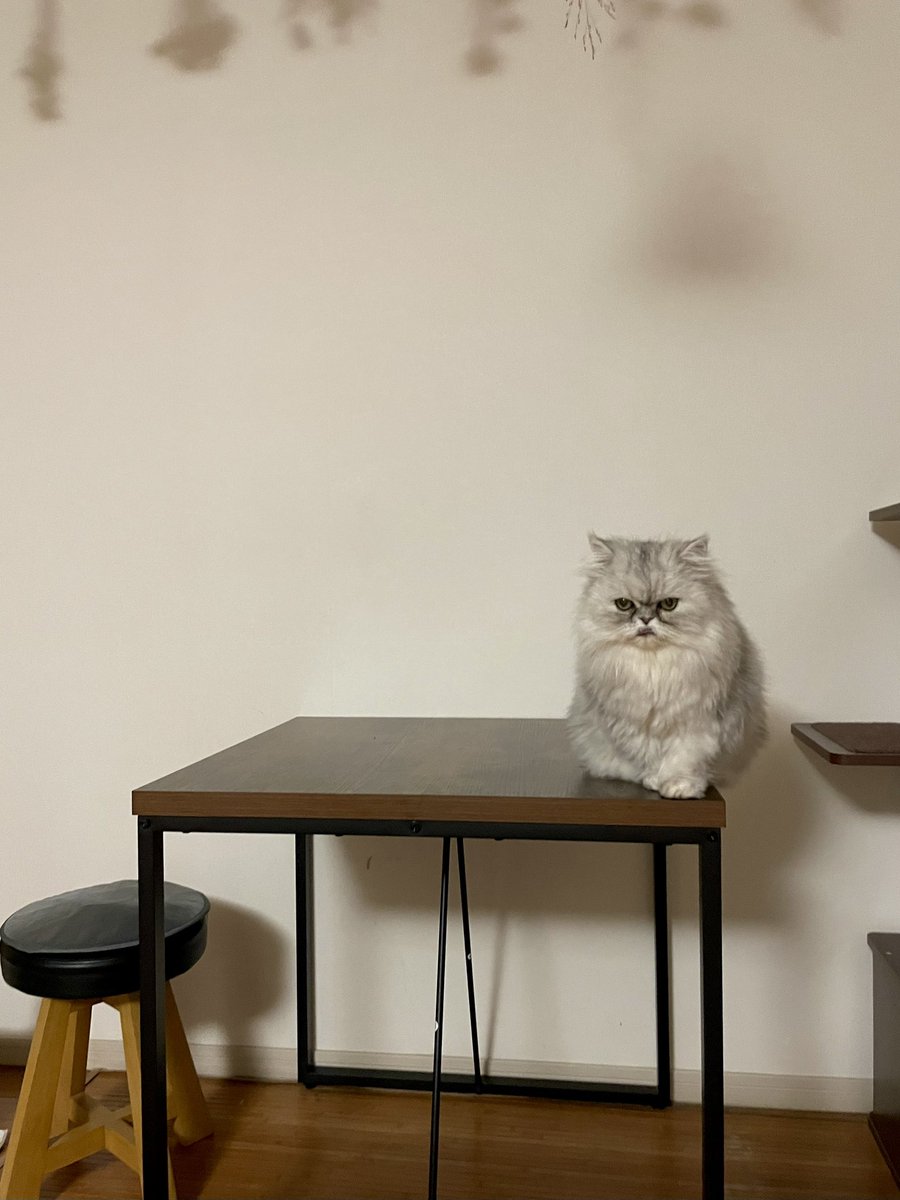 立ち位置､右すみっこ👉