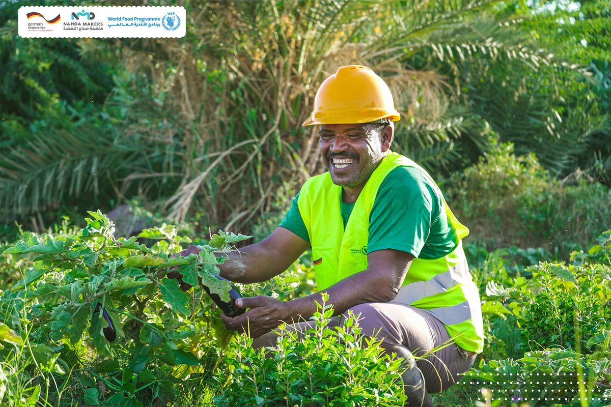 NMO_ORG's tweet photo. حين تجود الأرض بخيراتها، تزهر الحقول، وتشرق ابتسامة المزارع بفرح الحصاد🌾😊
هي بركة العطاء، لمن غرس ورعى بحب وإخلاص🌱✨

تعرف على أبرز ماقام به مشروع "من الغذاء إلى الصمود" #FuTuRe عبر الرابط التالي: 👇
https://t.co/fnoyKdJryt

"When the land gives its blessings, the fields bloom, and the farmer's smile shines with the joy of harvest. 🌾😊
It is the blessing of giving for those who plant and nurture with love and dedication. 🌱✨"

Learn about the most prominent achievements of the "Food to Resilience (FuTuRe)" #FuTuRe project via the following link:👇
https://t.co/htOcFeoWnv

funded by @BMZ_Bund  & in partnership with @WFPYemen 

#بركة_تدوم #NMO_ORG