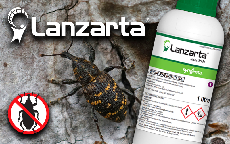 Agrigem has been selected as an exclusive distributor of Lanzarta – the new solution for controlling Hylobius abietis (large pine weevil) in Sitka spruce and other pine woodland.

The launch of Lanzarta is a significant moment for the UK forestry sector. Emergency authorisation