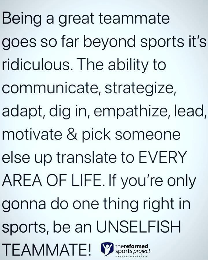 D1 Fastpitch tweet media