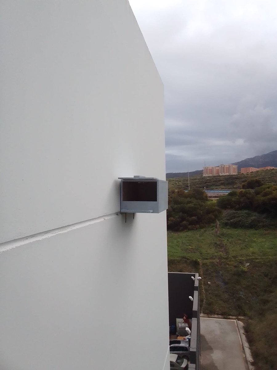 🚀 ¡Buenas noticias para la biodiversidad en Algeciras!

Junto al Consorcio de Bomberos de Cádiz, hemos instalado cajas nido para vencejos y cernícalos vulgares en sus instalaciones. 🐦💚

Más refugios, más vida. ¡Sigamos protegiendo nuestra fauna! 🌍✨