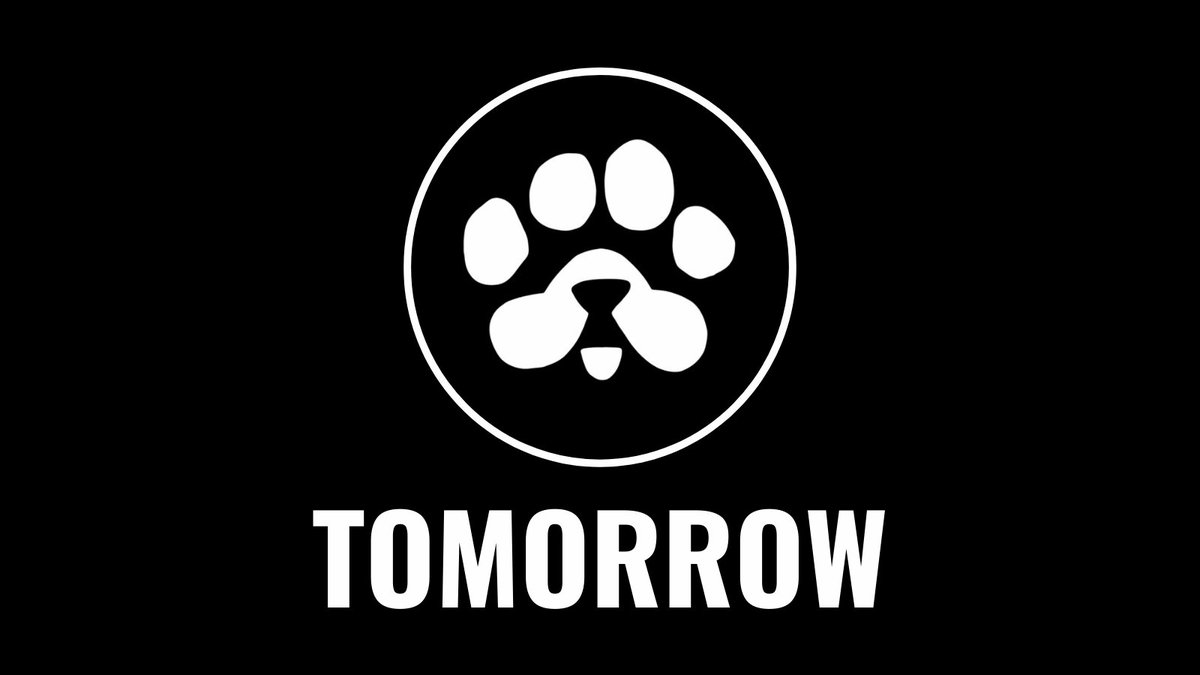 0xlucky16's tweet photo. $PAWS tomorrow 🫠🫠

Atleast it should cross $500 mcap because $SOL is supporting and it can be one of the best memecoin of @solana till date 

Till then don't forget to engage in @KaitoAI &amp; @Boithebear 

Let's go to the moon🌝🌝 

#PAWS #Solana $BOI $Kaito https://t.co/LKdlG4EXMT