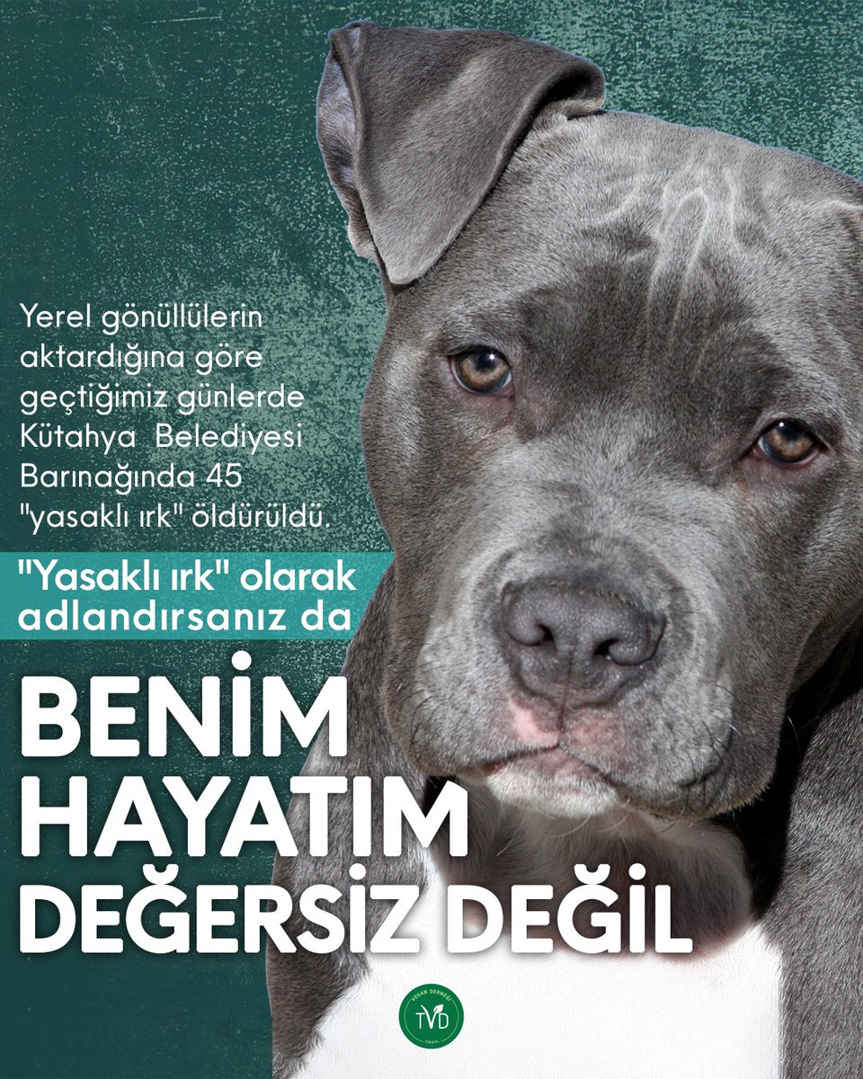 Vegan Derneği Türkiye tweet media