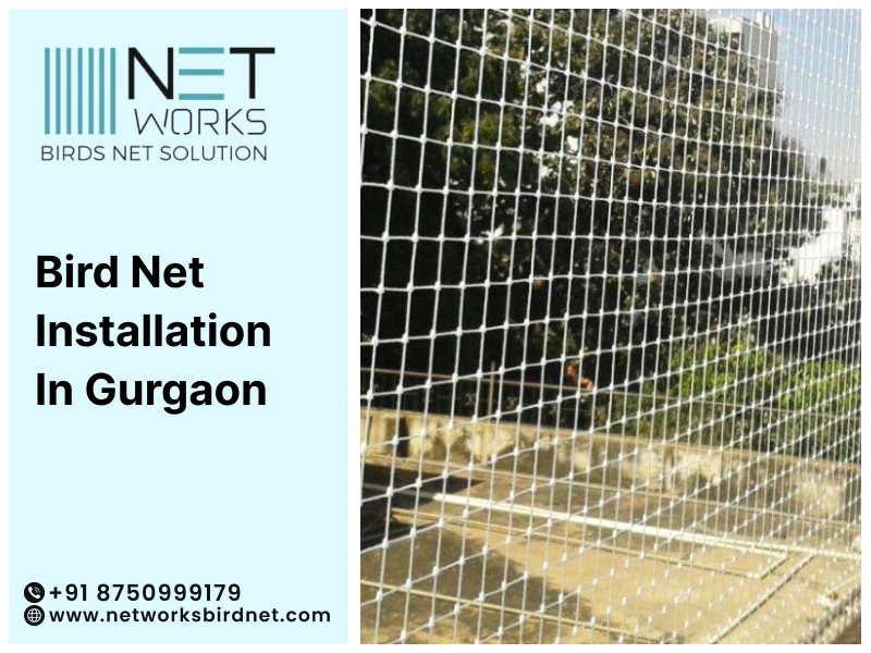 networksbirdnet's tweet image. Networks Bird Net offers professional bird net installation services in Gurgaon, providing the best solutions to keep your space bird-free and safe.
Contact us for bird net installation in Gurgaon.
Visit:cutt.ly/9riF40ti
#BirdNetInstallation #GurgaonServices #BirdControl
