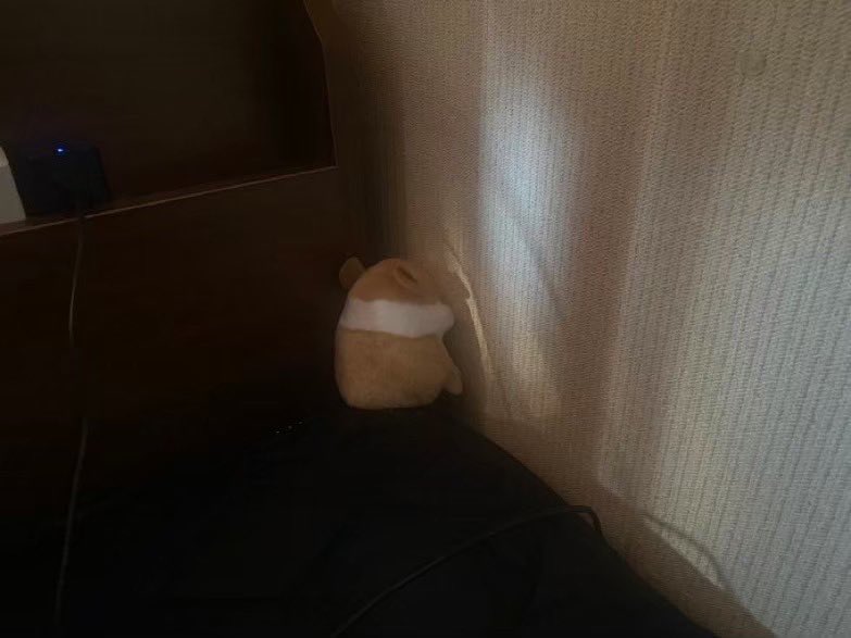 落ち込むぬいぐるみ (@depressed_nui) on Twitter photo 