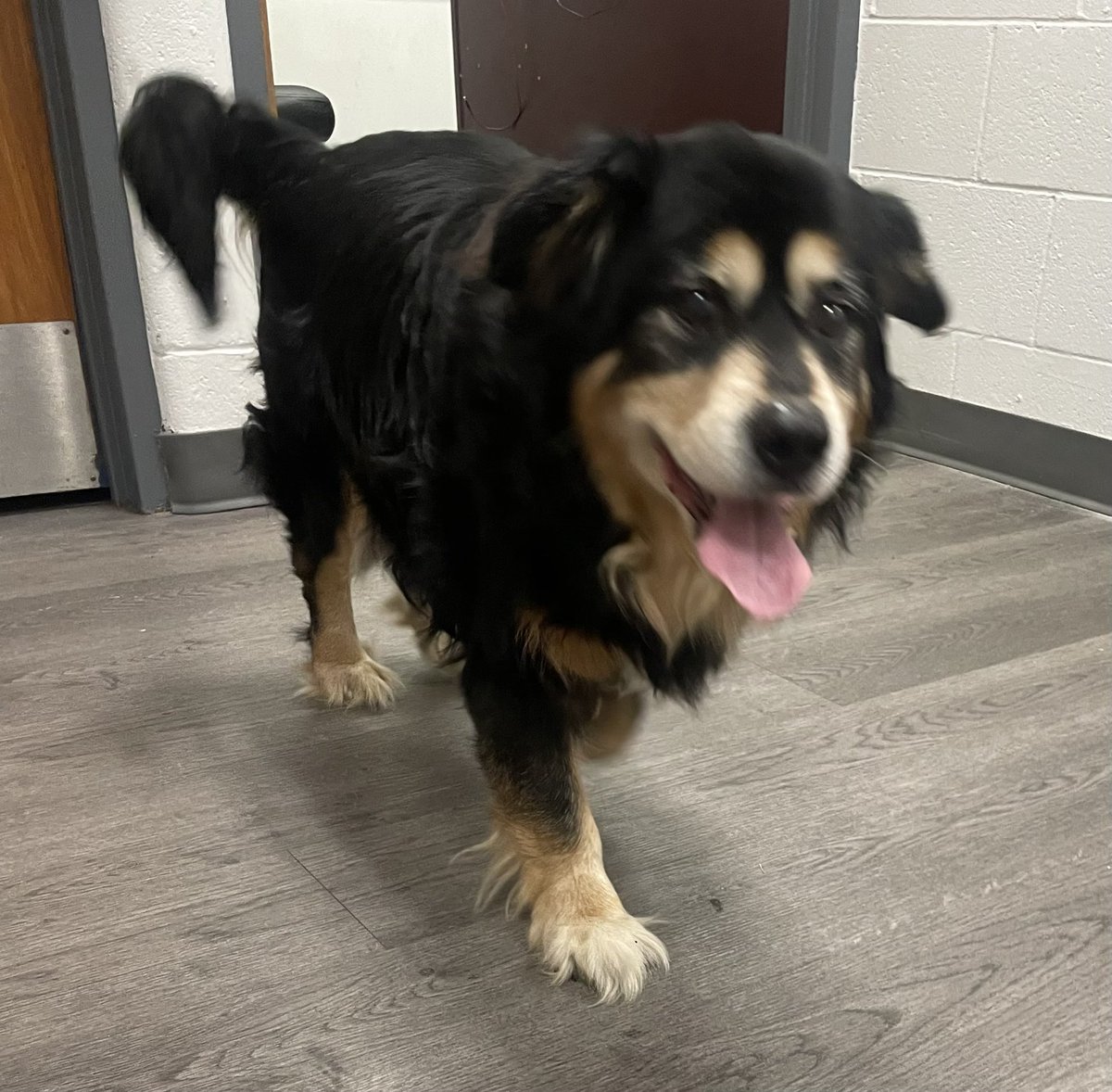 West Deptford Police tweet media